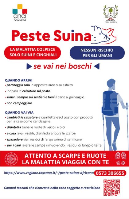 Peste Suina Africana: attenzione alle regole nei boschi 