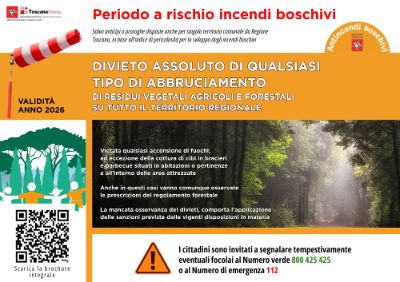 Aib - Info Periodi a rischio