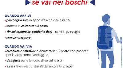 volantino